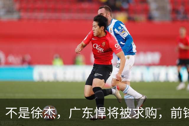 不是徐杰，广东悍将被求购，前锋，杜锋看重，转会费或8位数