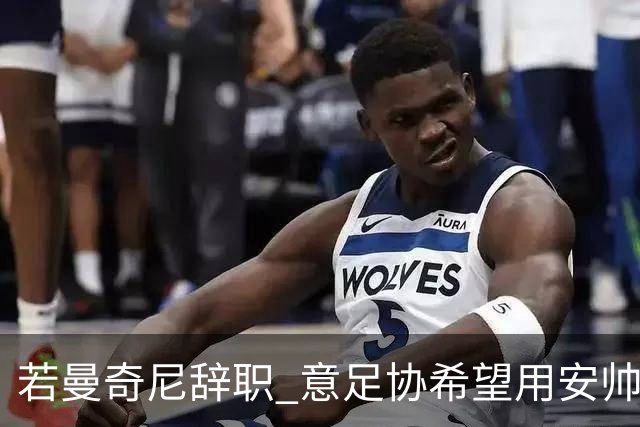 若曼奇尼辞职 意足协希望用安帅或卡纳瓦罗替代